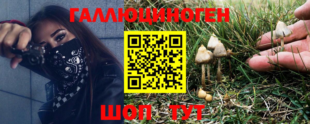 Галлюциногенные грибы Magic Shrooms  Галлюциногенные грибы мухоморы  Вход с VPN  Калининград 